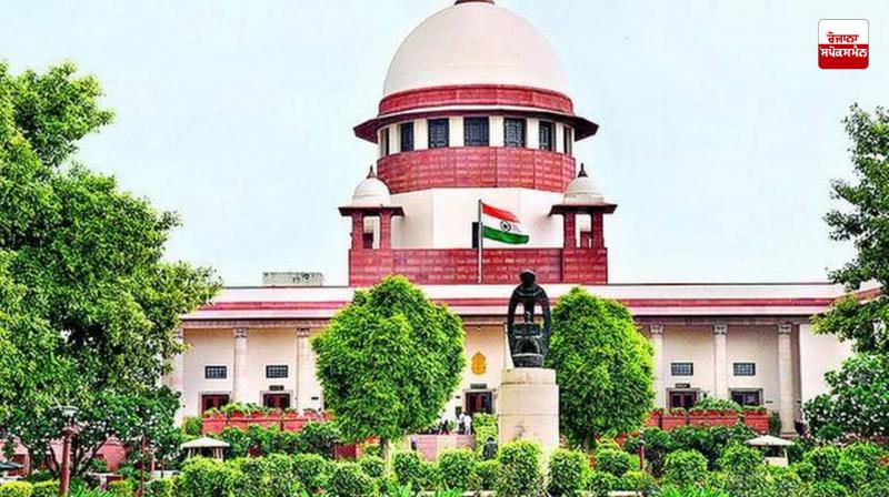 Supreme Court reserves verdict in stray dog ​​case after hearing all states