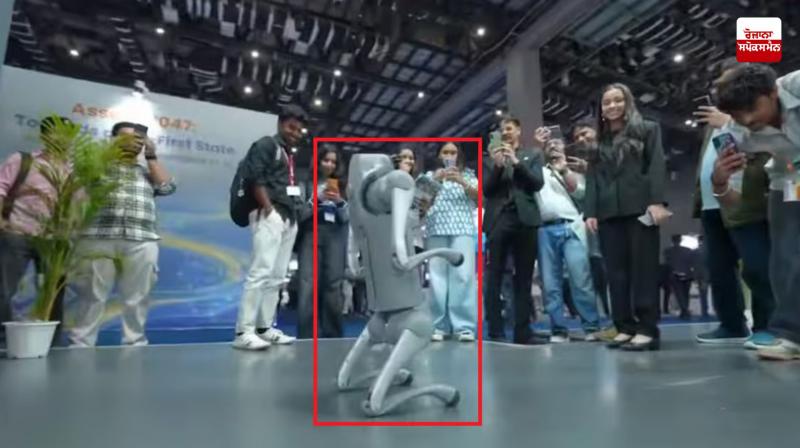 Galgotia University 'expelled' from 'AI Summit Expo' after controversy