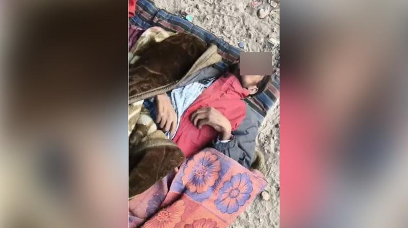 Rats eat sleeping man in Bathinda, painful death