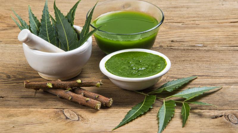 Article: Neem Hakimi business is constantly growing in India