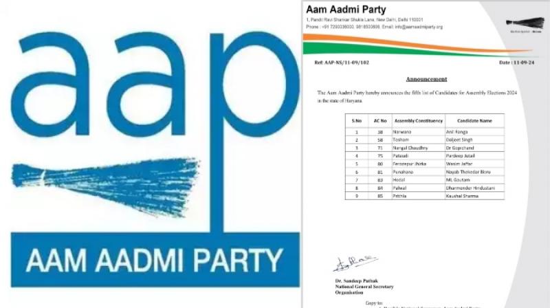 AAP candidates List 