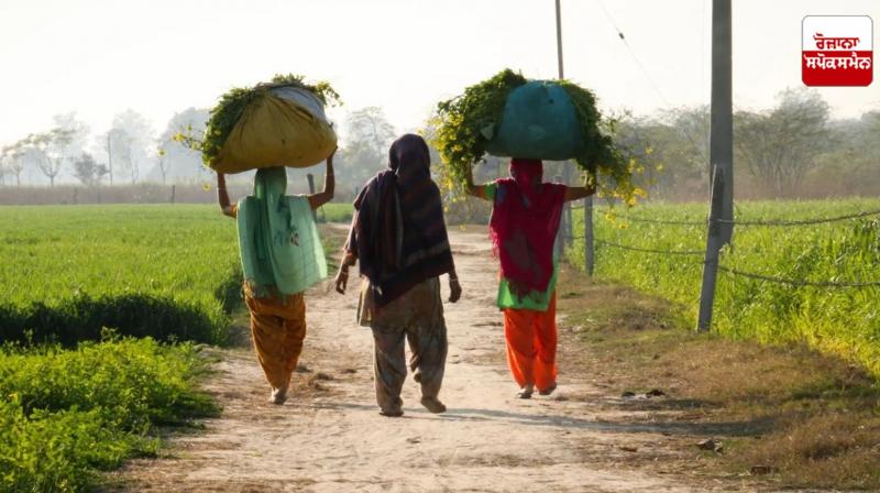 Rural women can change the destiny of the world
