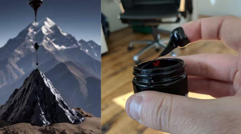 Health Tips: What is Shilajit, know its amazing benefits