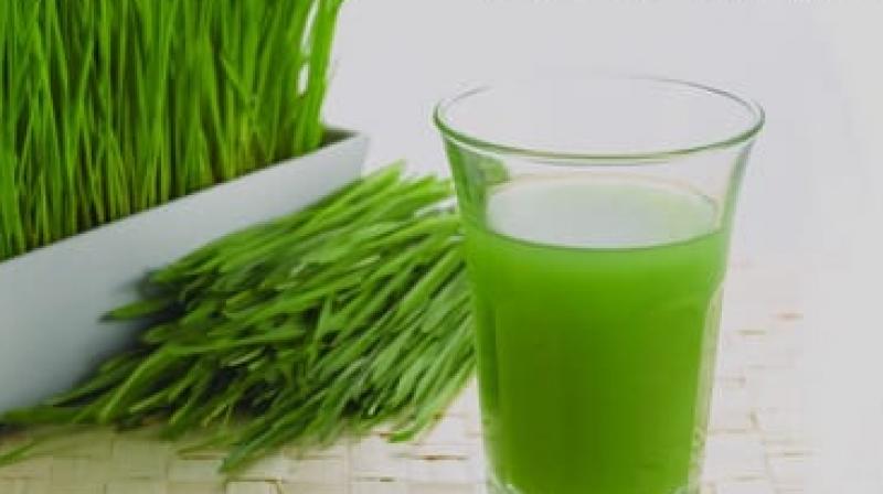 Benefits Of Drinking Wheatgrass Juice 