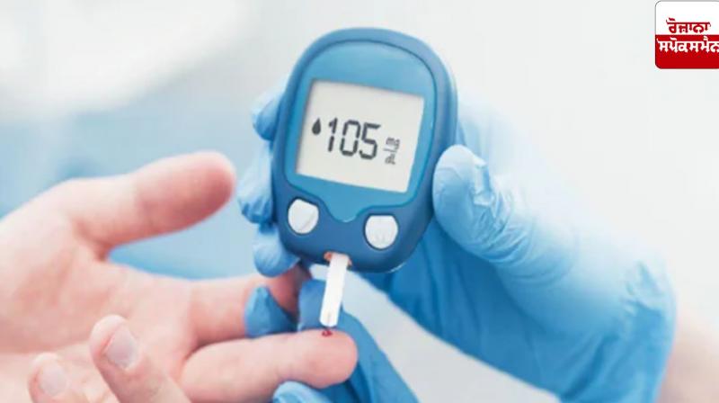  Follow these tips to avoid diabetes in punjabi newd 