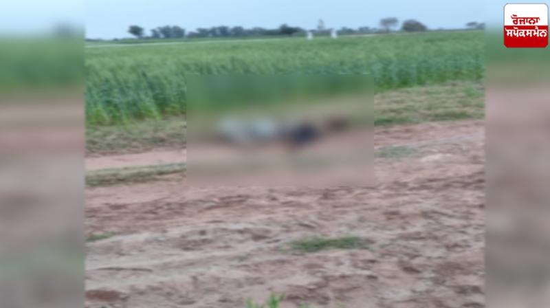 BSF killed Pakistani infiltrators Pathankot News