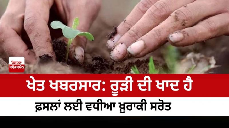 Manure is an good source of nutrients for crops