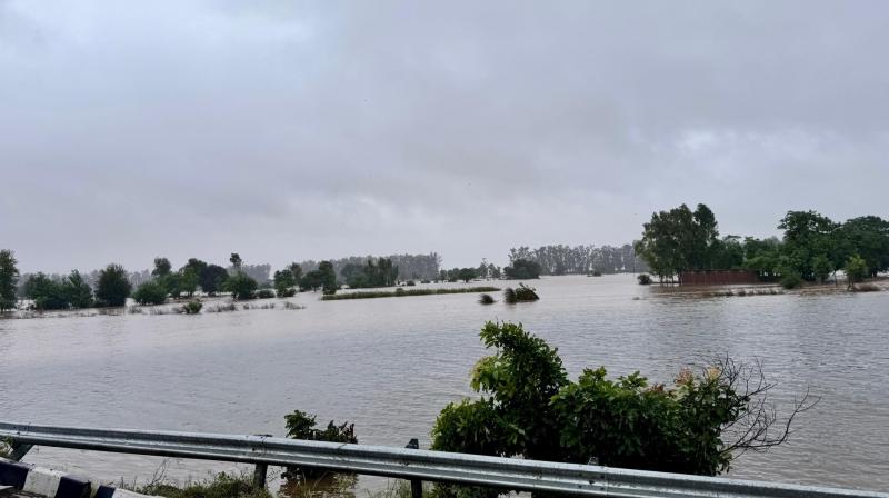 PM Narendra Modi to visit Punjab, Haryana and other flood-affected states