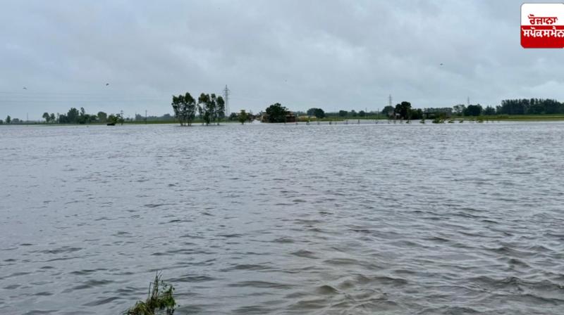 Punjab Flood News in punjabi