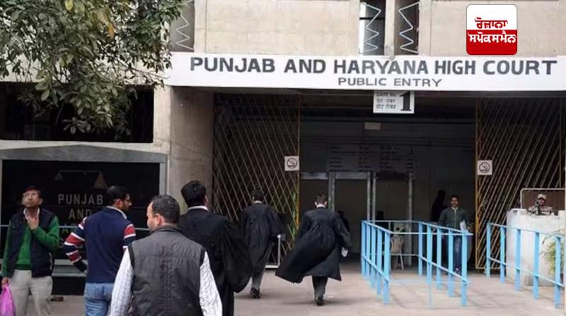 punjab and haryana high court