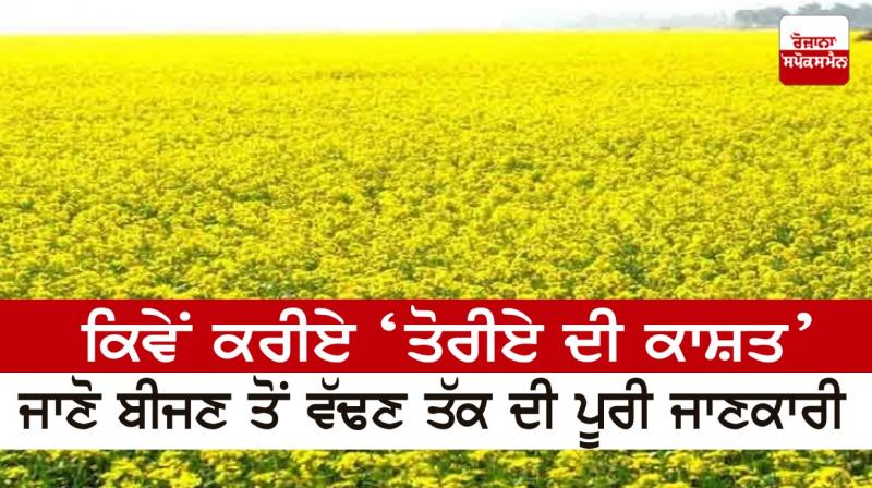 How to do 'Toriya cultivation