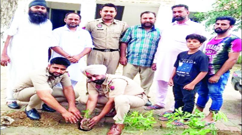 Police officers Plants Planted