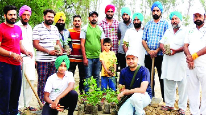 Volunteers Planting Shrubs