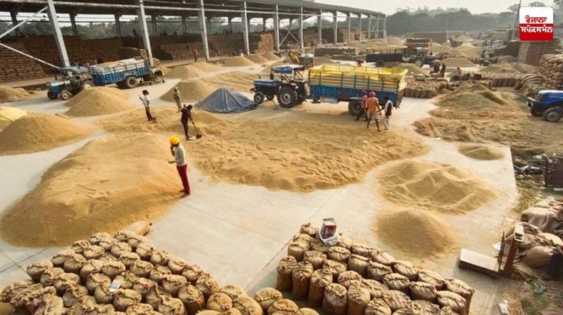 Punjab likely to miss procurement target due to reduced paddy yield