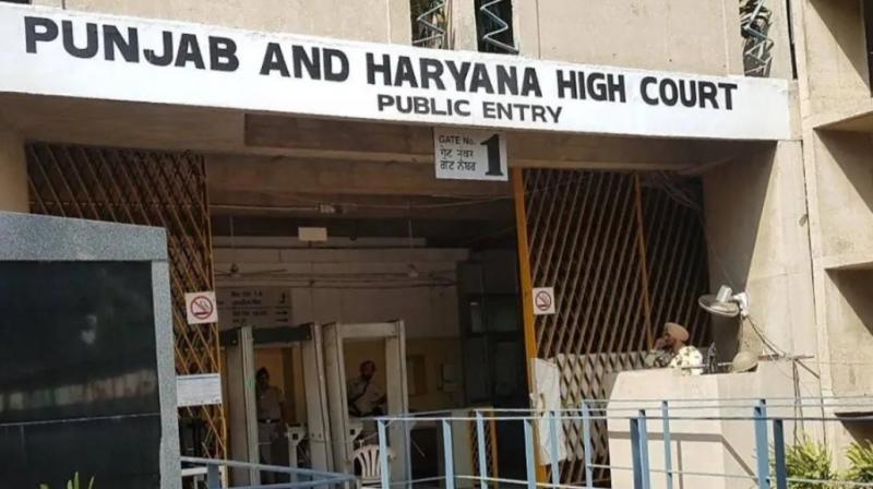Punjab and high Court 
