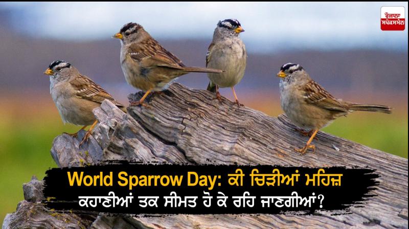 World Sparrow Day 