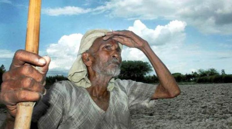 corona cases jalandhar pathankot ludhiana amritsar faridkot patiala lockdown