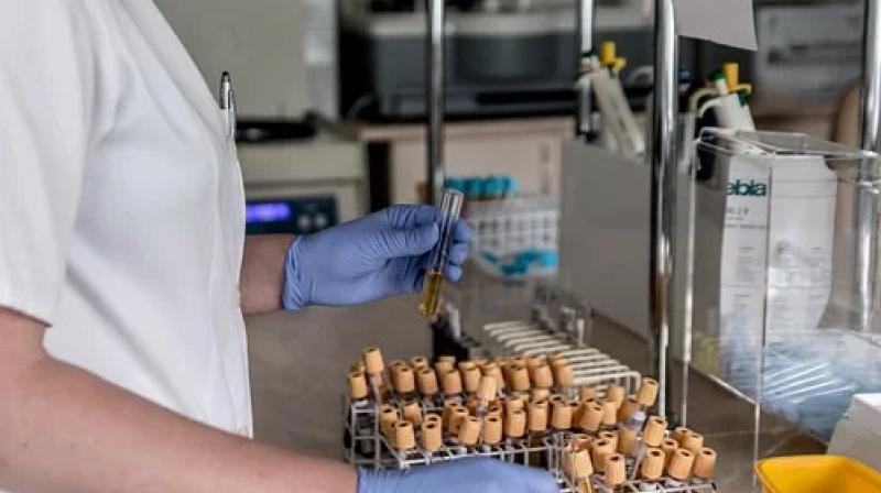  Punjab Government Sri Mukatsar Sahib