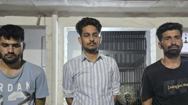 MBBS students looted milk van Rajasthan News