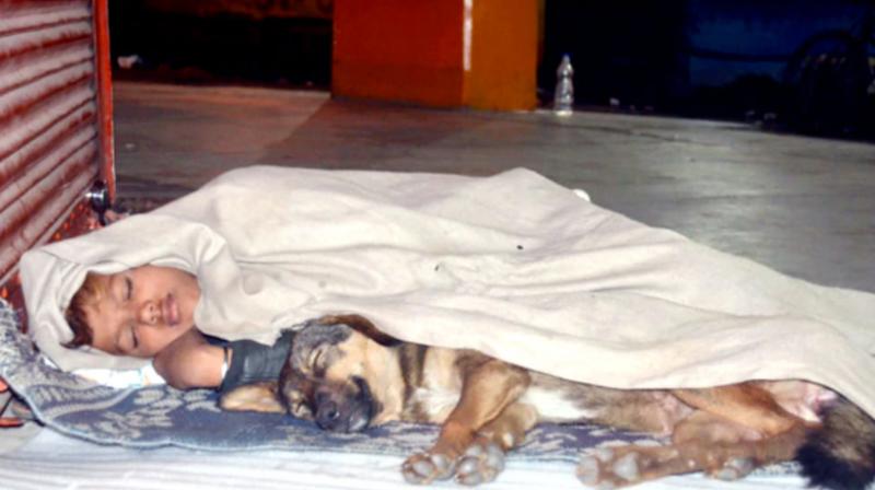 Homeless Boy sleeping on a footpath with a dog