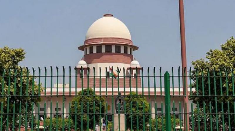 Forensic editor register report in SC