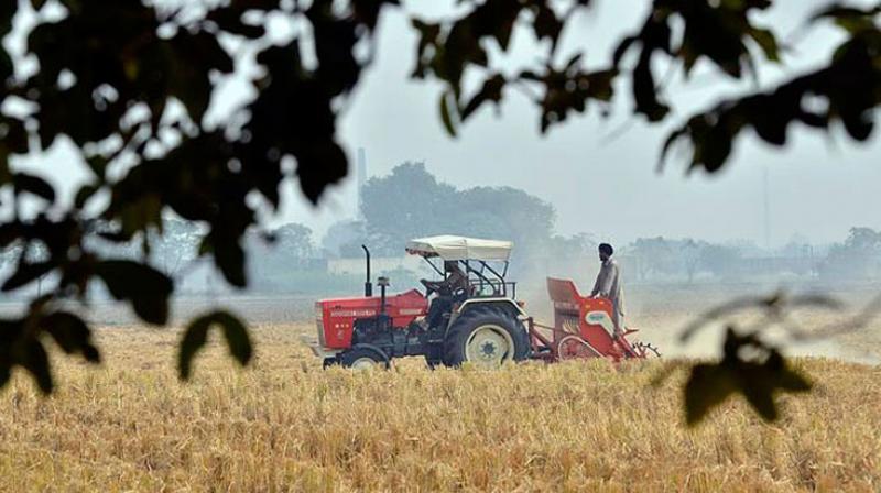 New technique developed by farmer relates to stubble