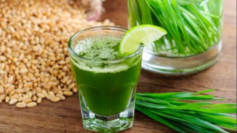 Wheatgrass juice is a pure natural diet
