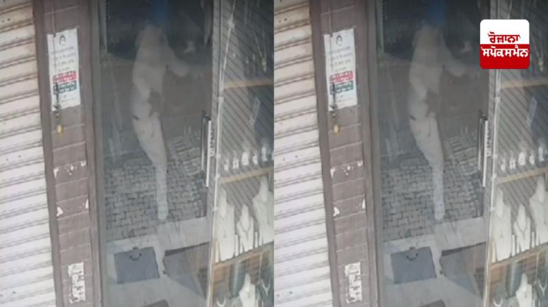 ਘਟਨਾ ਸੀਸੀਟੀਵੀ ’ਚ ਹੋਈ ਕੈਦ 