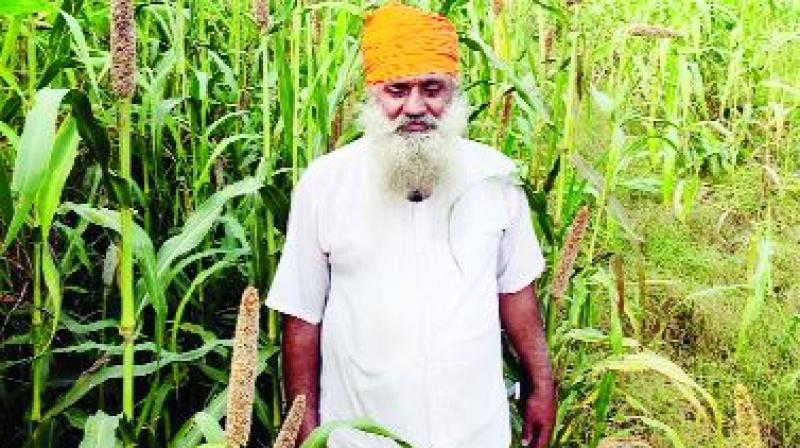 Farmer Gurmukh Singh