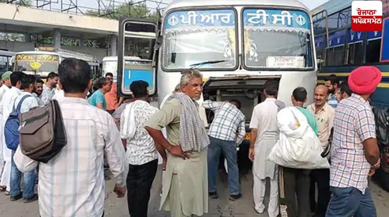 Bathinda PRTC bus Snake news