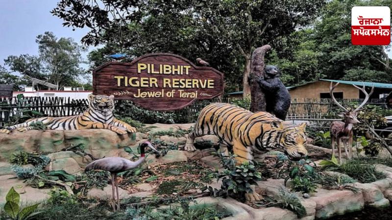 Bird Flu: Bird flu alert in Pilibhit Tiger Reserve, instructions to increase surveillance of wildlife