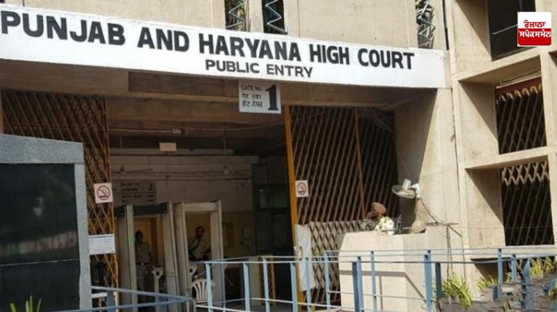 Punjab and haryana High Court 