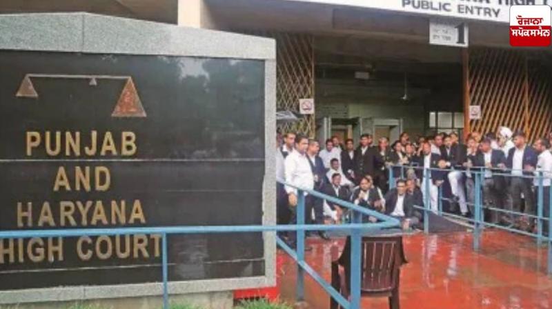 Punjab-Haryana High Court upholds decision to acquit rape accused