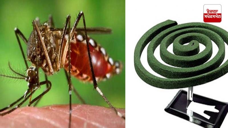 If you are using Kundli to repel mosquitoes, be careful?