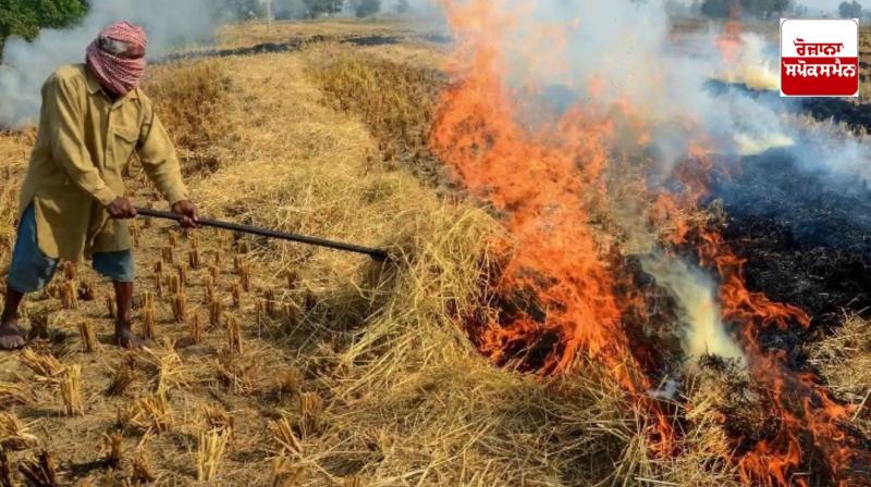 The smoke of straw increased the pollution, it became difficult to breathe in Bathinda