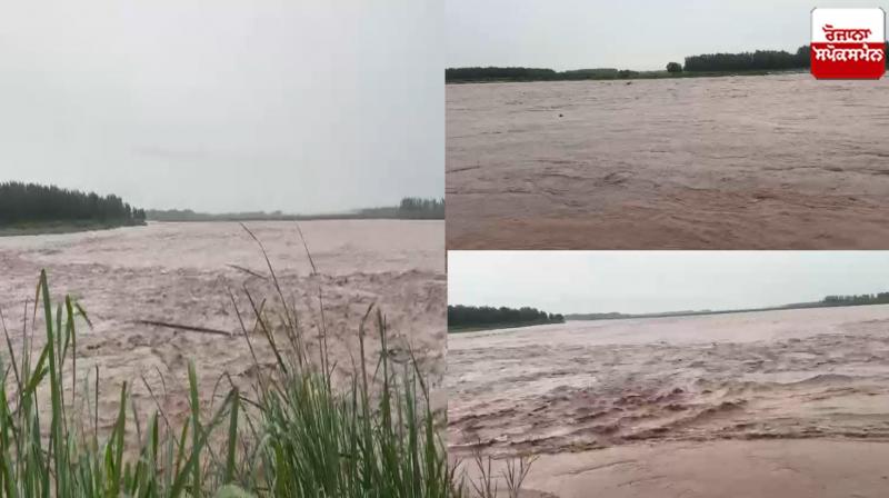 Ravi river Gurdaspur News