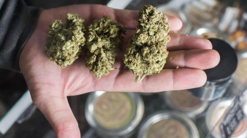 US House passes federal cannabis decriminalisation bill