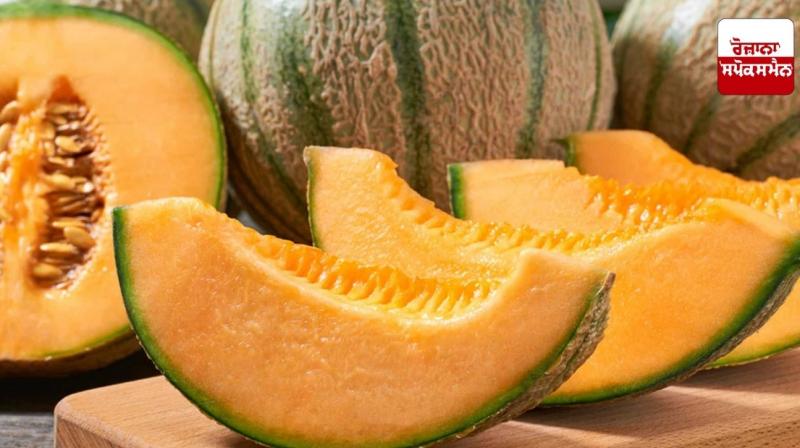 Melon is very beneficial for Health