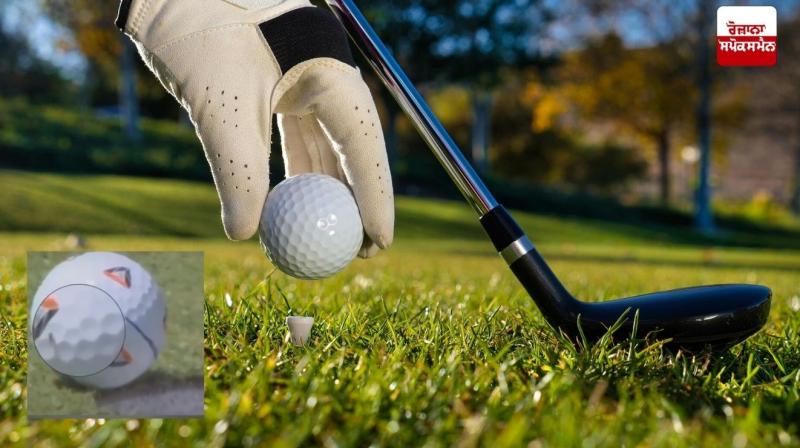 Golfer earns Rs 8 crore from a fly