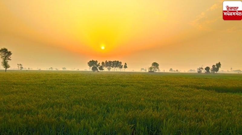 Punjab Weather Update