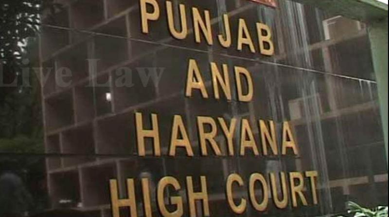 Punjab Haryana High Court