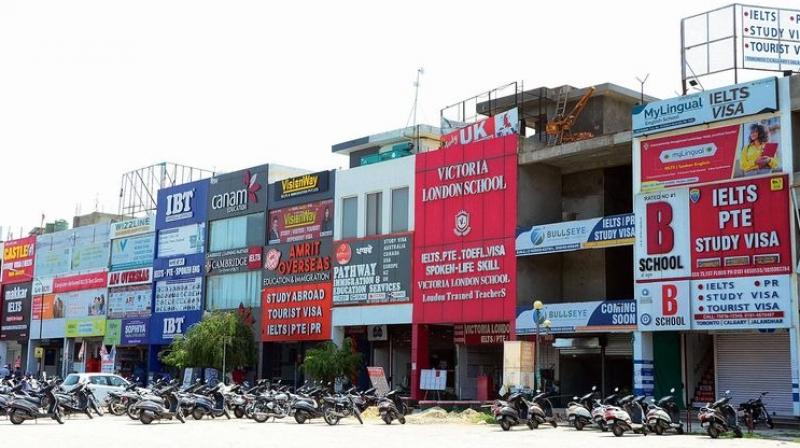 584 immigration and travel agencies are operating without a GST number Jalandhar News