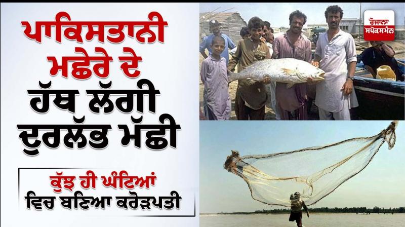 Pakistani fisherman becomes millionaire overnight