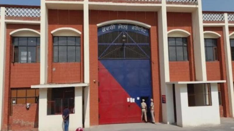 908 inmates of Faridkot Jail suffered from hepatitis c