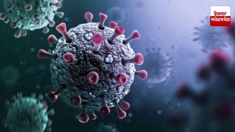 Corona Virus Punjab Update News