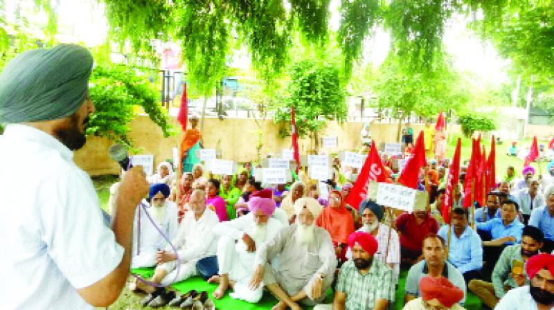 Workers of the Organization during the Dharna