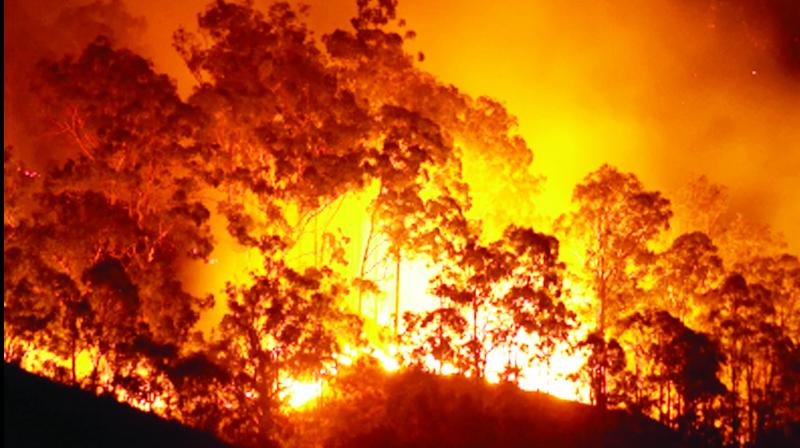 Fire in Australia