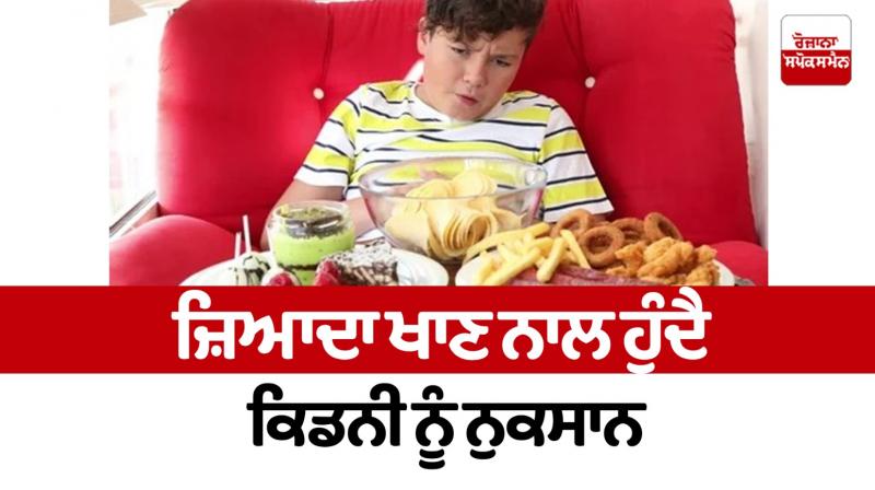 Eating too much causes kidney damage