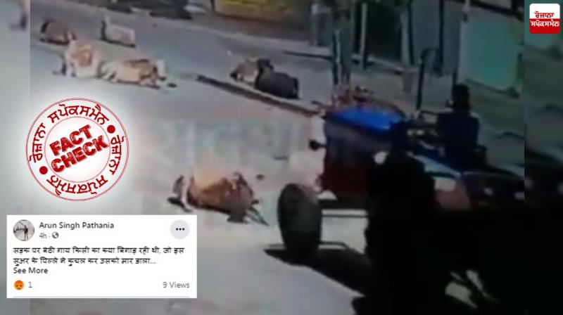 Fact Check: communal angle being given to the incident of killing a cow with tractor