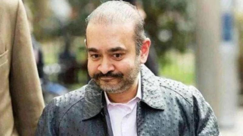 NIrav Modi